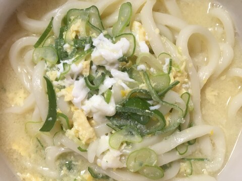 ネギと溶き卵のうどん